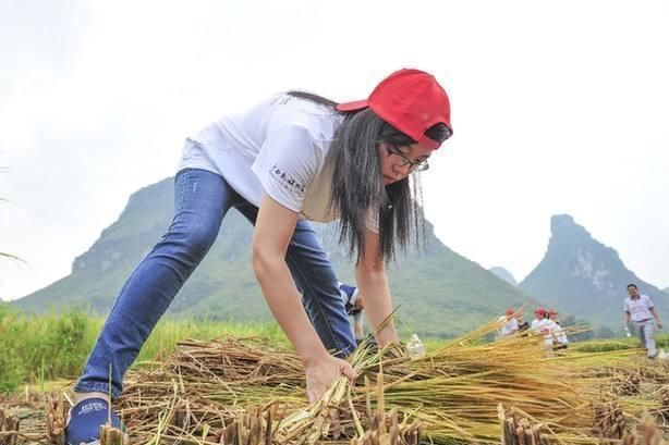 人都往城市走，现在的农村人越来越少，10年后农村怎么办?