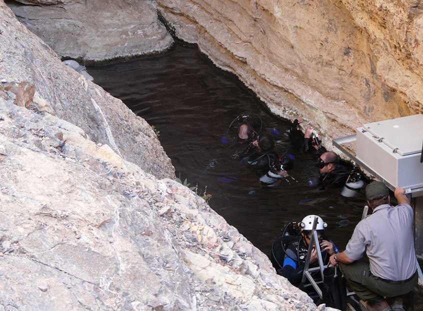 繁衍生息了6万多年的魔鳉,被人类发现不久全世