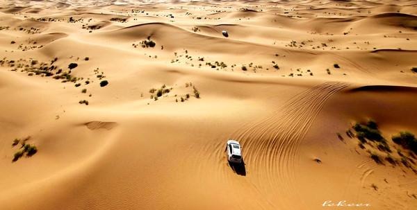 荒漠也不是荒漠了