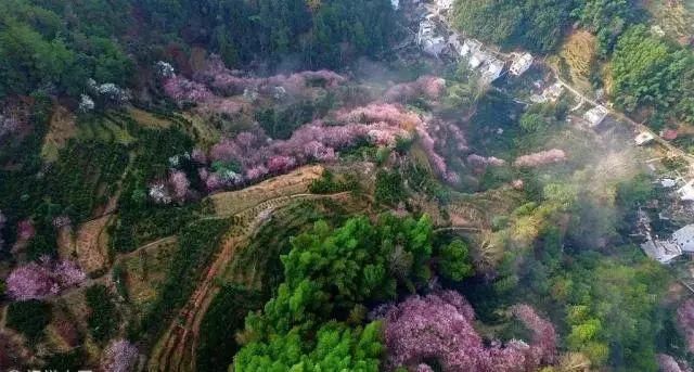 清明买不上票？各主题列车带你游全国！