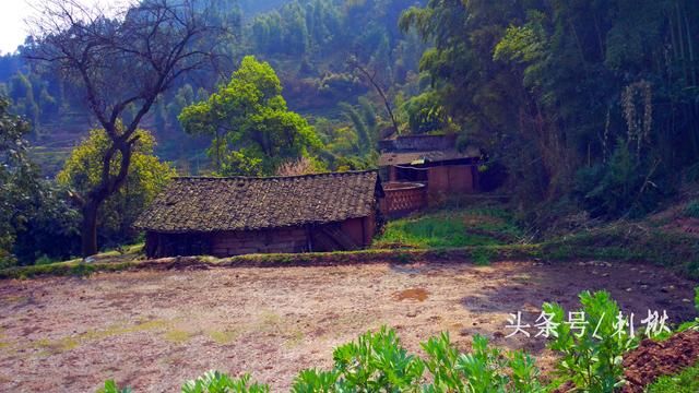 农村分户要求有住房，而申请宅基地又必先分户，这个死结如何解开