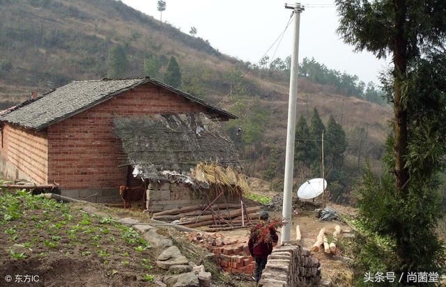 你所“熟悉”的村委会，能强行征收你的土地和房屋吗