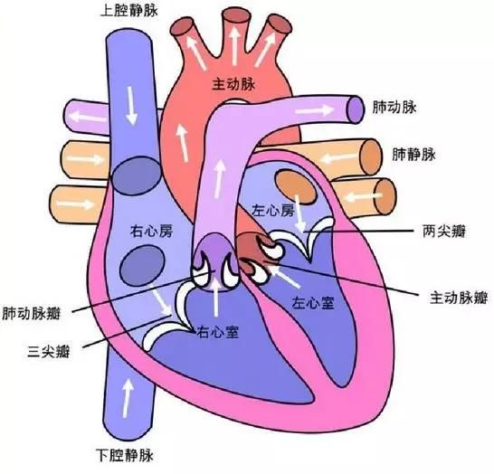 一个一个下一步