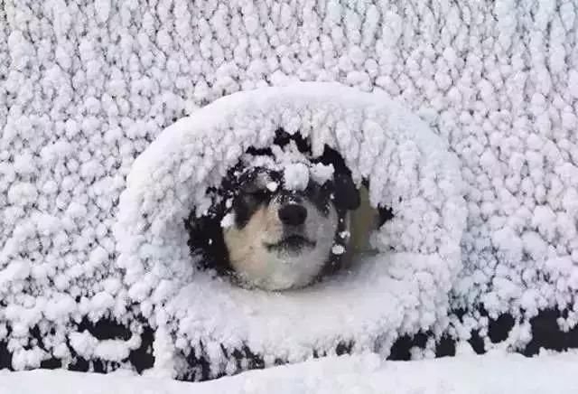 今起天气有变！河北6市雨雪，-20℃……春节走亲访友必看出行攻略