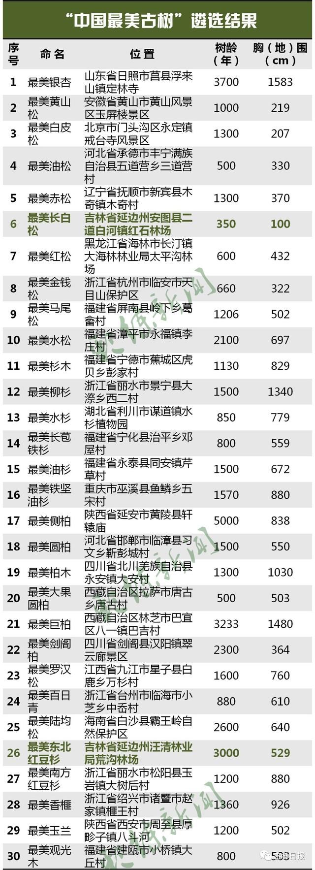 我州有3棵“中国最美古树”!最长树龄3000年