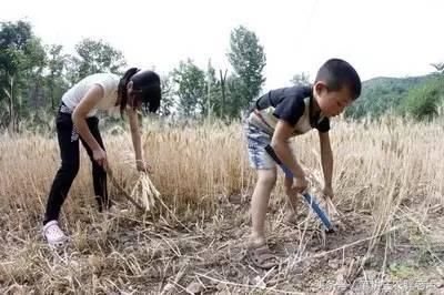 又到一年麦收时!看着这些农村麦收照片，经历过的人不由热泪盈眶