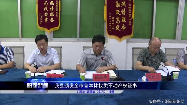 阳新县颁发黄石市首本林权类不动产权证书