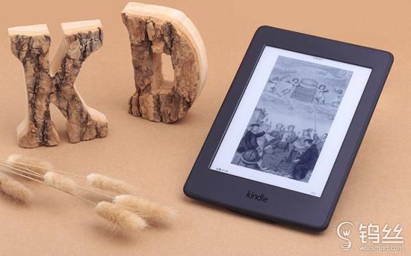 电子书市场开始没落?Kindle Voyage电子书遭下架