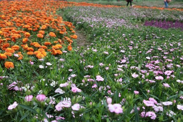 四川宜宾县撤县设叙州区,从此宜宾市下辖3区7