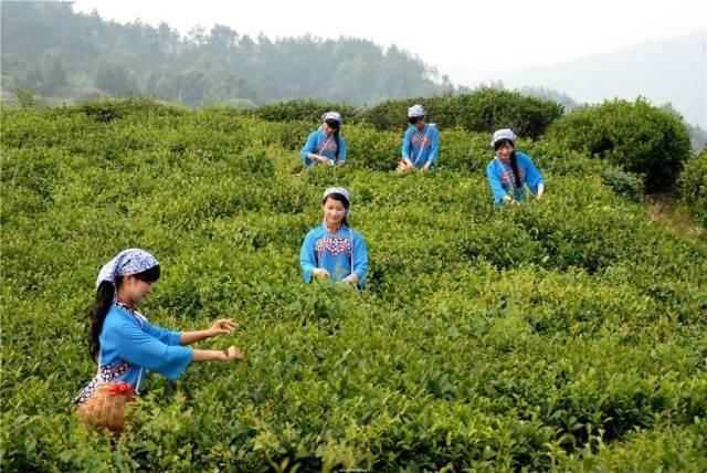 自驾只用三小时!武汉周边这片秘境处处是奇观,却低调得让人心疼