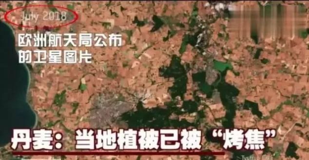 澳大利亚被烧了