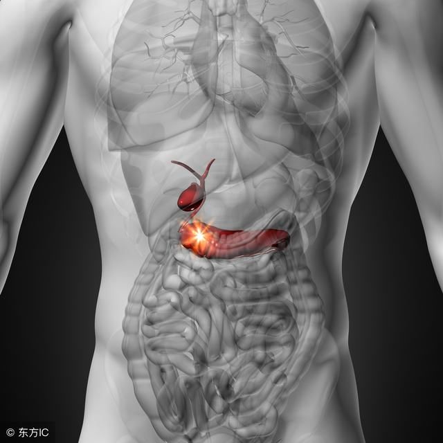 身体六腑之介绍,小肠胆胃大肠膀胱三焦