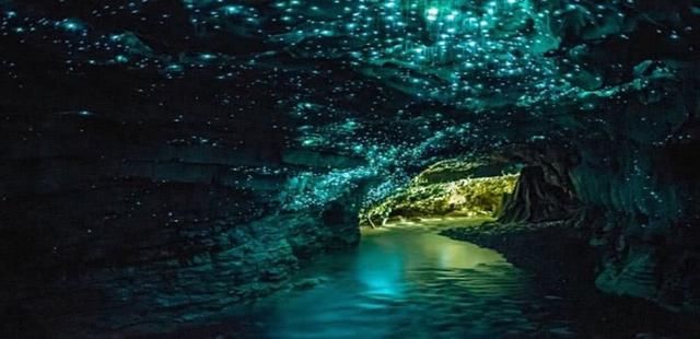 密集恐惧症误入！澳洲这地方竟成为网红景点，百万瓢虫挤成一坨