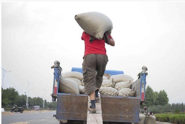 粮食商贩常用的3个坑人手段,农民要心里有数,别上当受骗了
