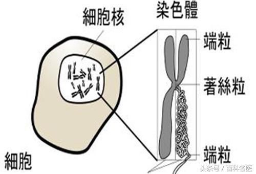 问：人在对抗疾病时有多坚强？答：住了十年ICU