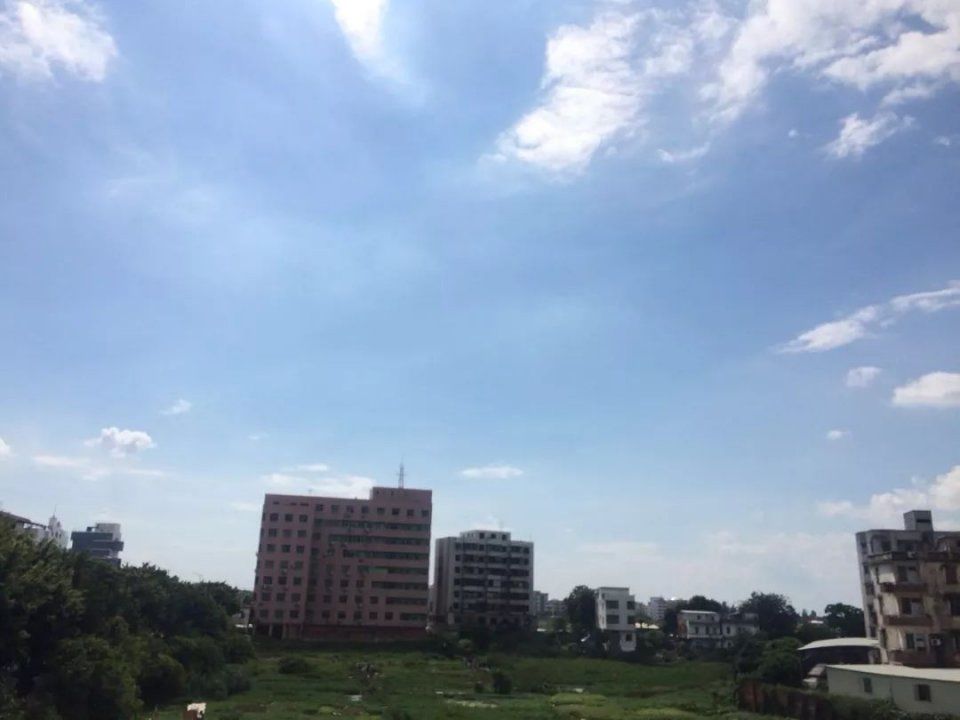 今天整个广东都在大暴雨?唯独吴川阳光明媚!_