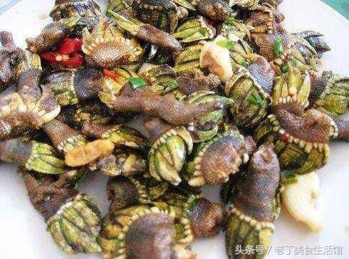 来自地狱的海鲜佛手螺，大连人作为待客上品，客人却不敢吃