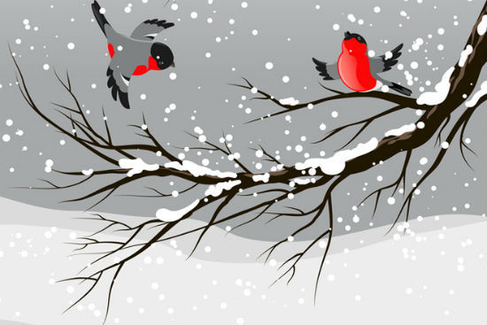冬至的诗句欣赏 冬至有什么庆祝活动