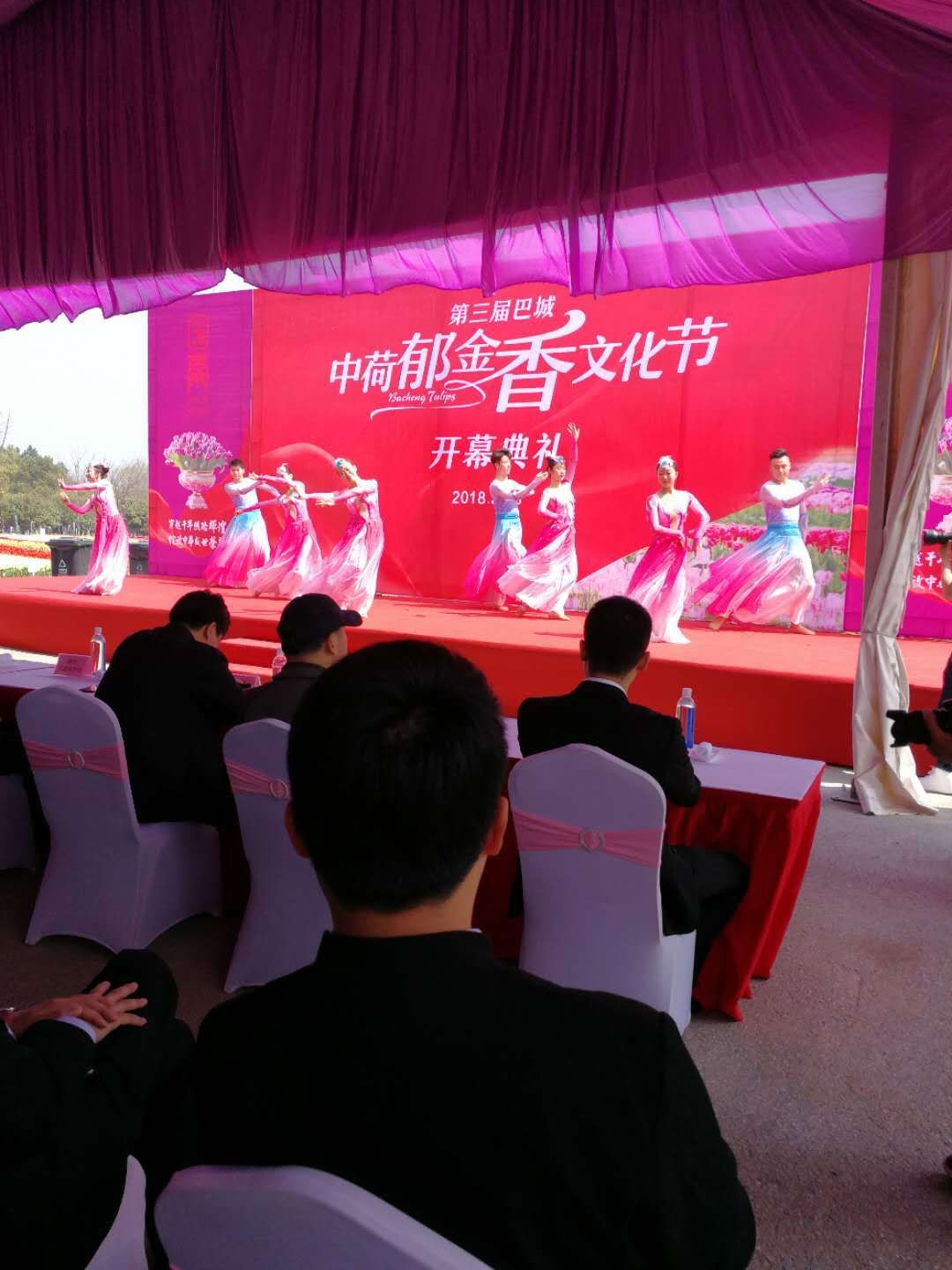 昆山阳澄湖国泰郁金香荷兰风情主题园开园暨第