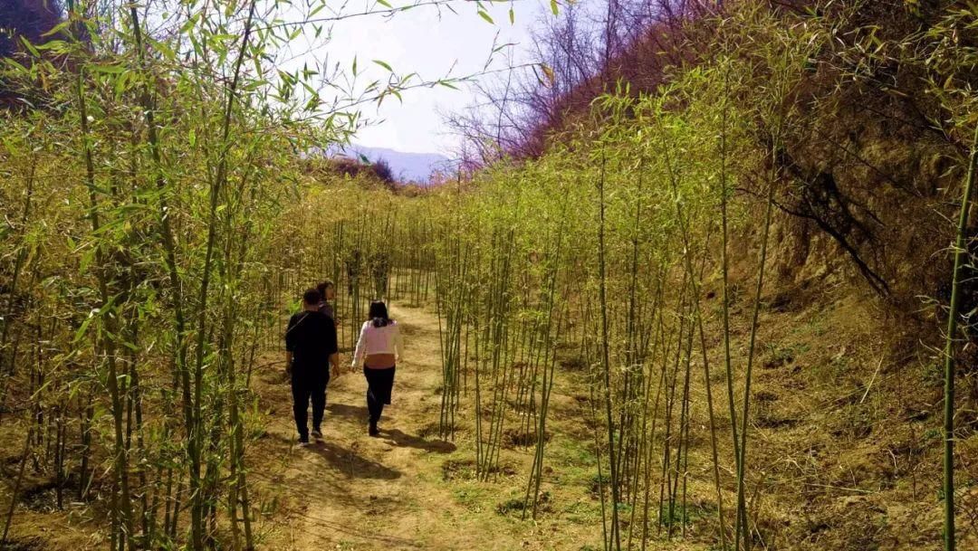 尧京，不仅仅是酒庄，还有春日的乡愁