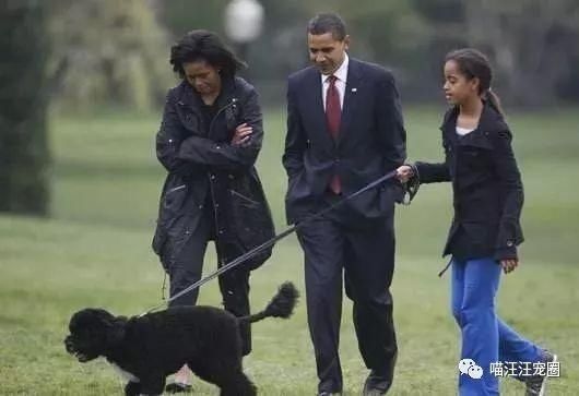 支持《反虐待小动物保护法》!如果你也支持,请