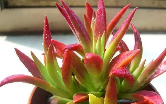 人员管理的五大要素