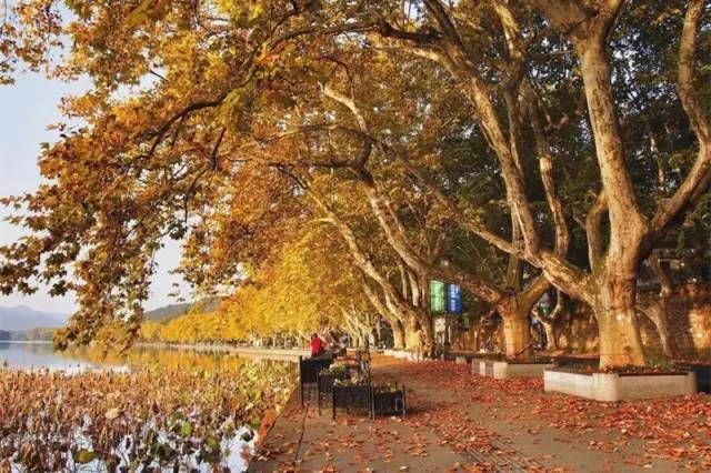 惊艳！杭州这条世界级黄金旅游铁路线即将开通！一路看遍国家级风