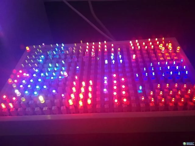 三星提前發(fā)布新機捍衛(wèi)銷量?OLED加速生產(chǎn)掘金受益股