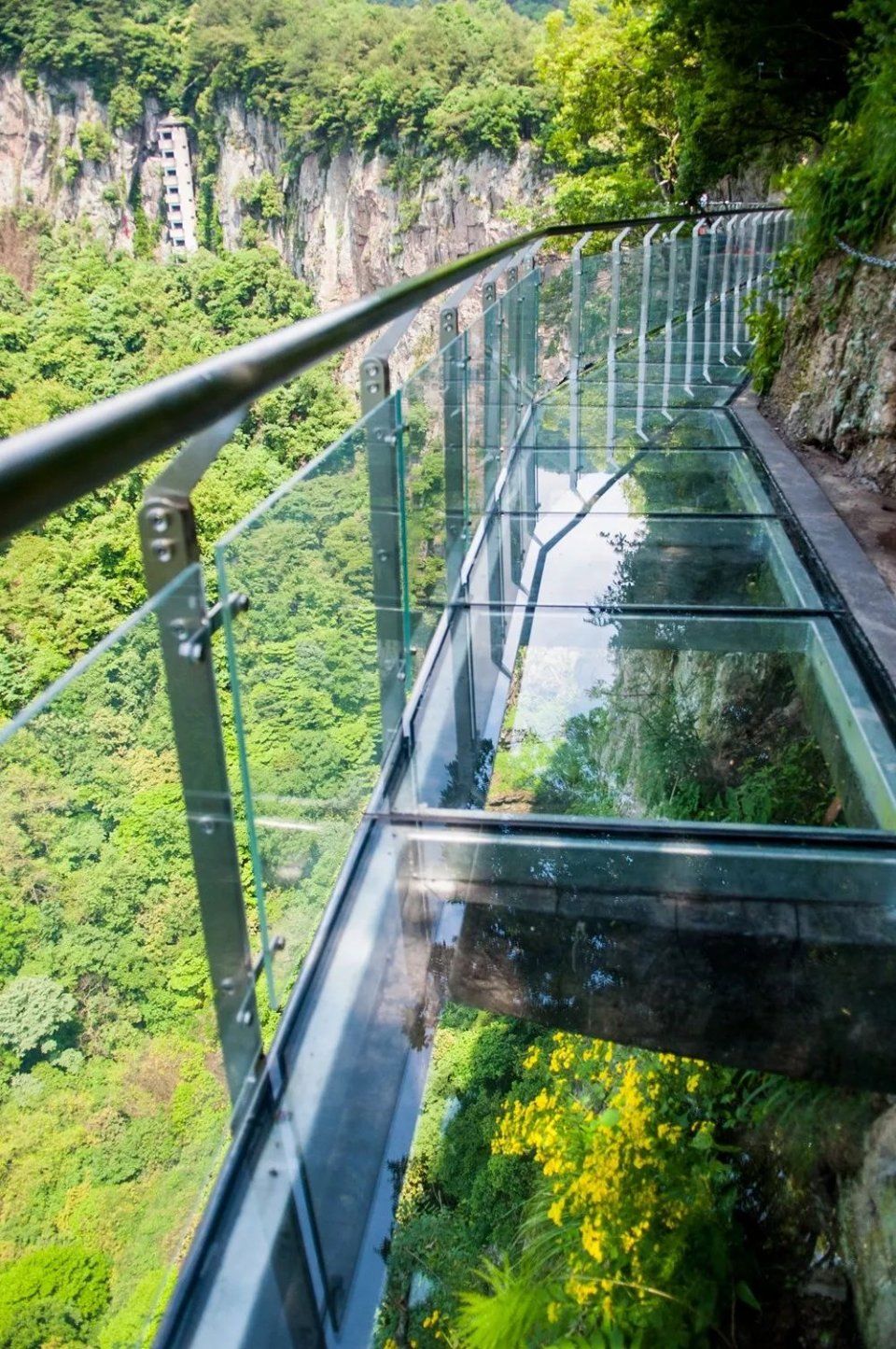 终于来了!浙江最长高空玻璃栈道开放!敢走我敬你是条汉子!