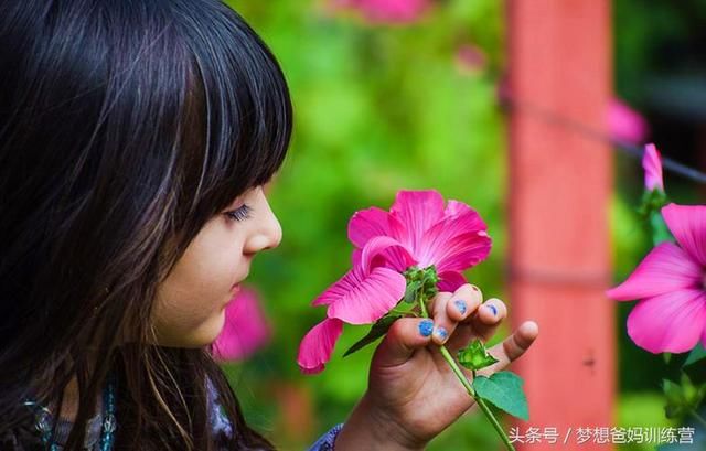 抓住四个关键点，就能培养孩子的敏锐观察力