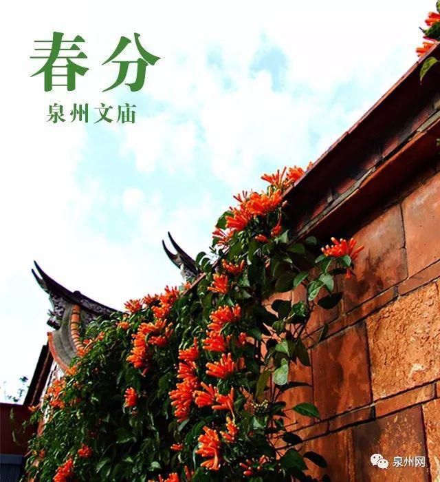 泉州又要火了！乘风破浪的姐姐来录团综，还将......