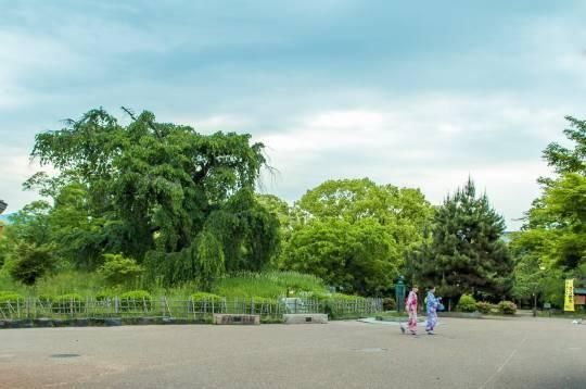 中国人去日本的20个理由，最后一个让国人汗颜!