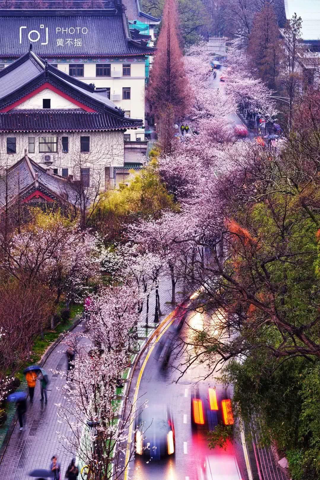 南京9条地铁最美打卡圣地，懒癌患者在南京就该这么玩！