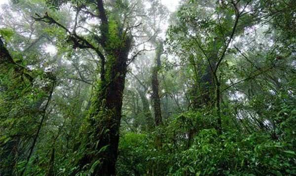 泰国最美国家公园：因他农山