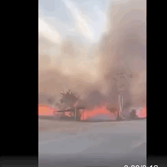 澳大利亚被烧了