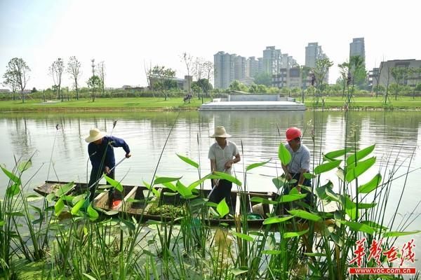 常德：一个会变魔术的城市