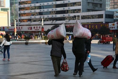 10年之后的农村，又将会是一番什么样的光景呢？