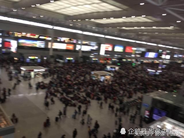上海虹桥高铁站春运景象：千山万水挡不住游子回家过年 现场图