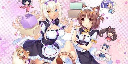 t016fc932e9eed74567.jpg
