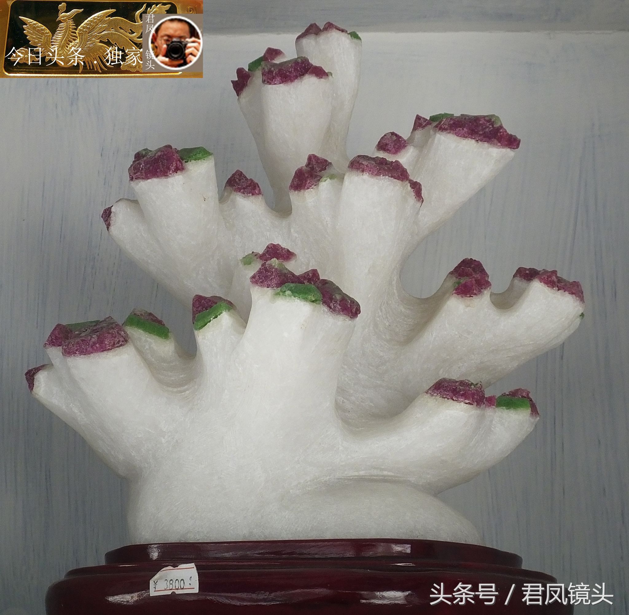 奇石摄影:园林景观石长相奇异!“大展宏图”售价580万元!