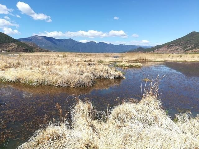 丽江、玉龙雪山、泸沽湖仙境游记