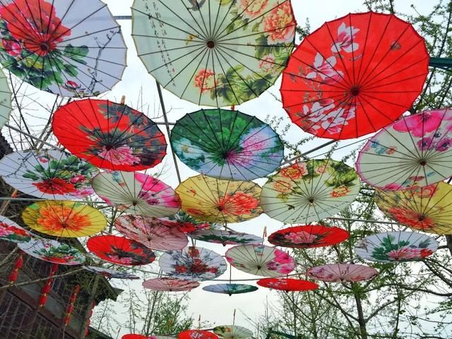 青白江凤凰湖的樱花终于开了，门票免费，再也不用去日本看樱花啦