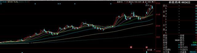 医药就是今年的格局,长牛趋势完全确立