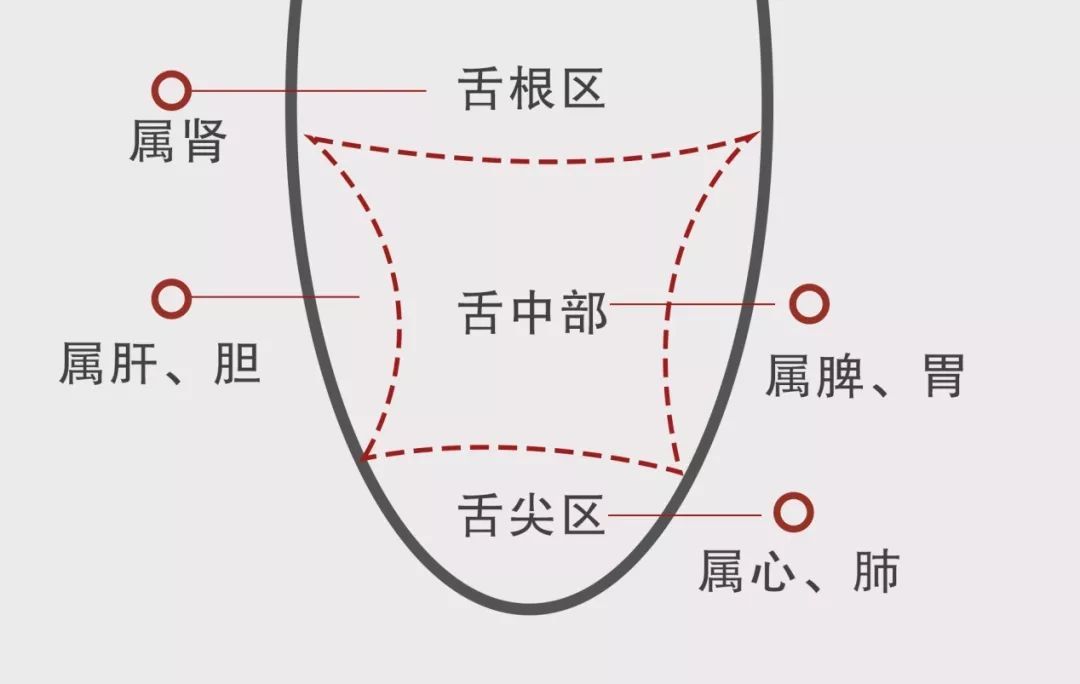 身体好坏写在舌头上,寒热燥湿,一测便知!