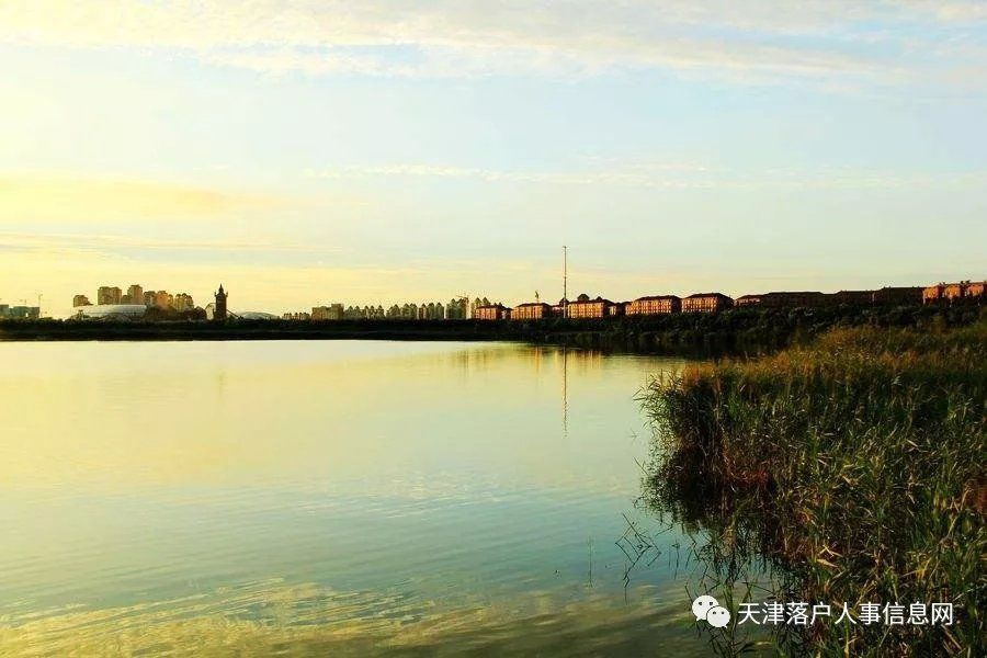 天津市各区人口数量排名情况如何?请看人口数