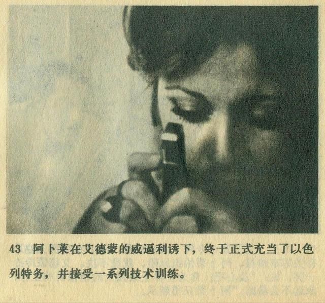 t01706247b162afe88c.jpg