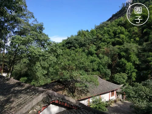 登录查看大图
