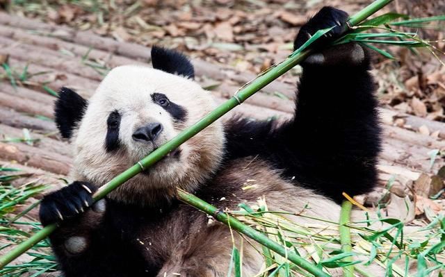 中国人口第四大城：人口超天津达1600万，未来还有自信追上北上广