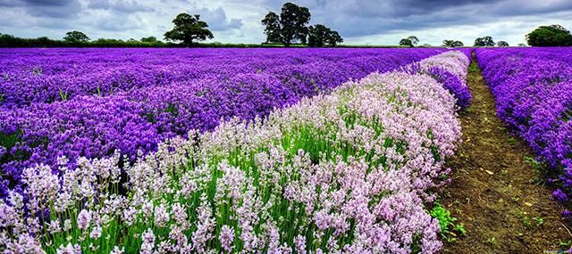 美翻了！五一这个地方必须曝光，门票还免费送！