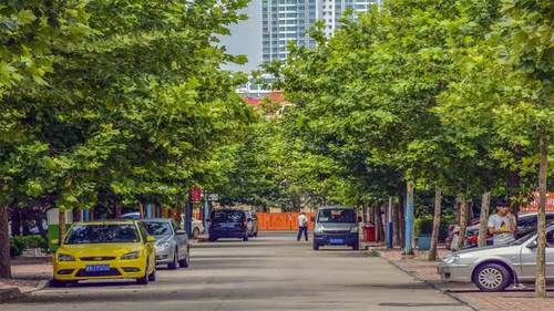 最受韩国人喜爱的中国城市,北上广也被比下去